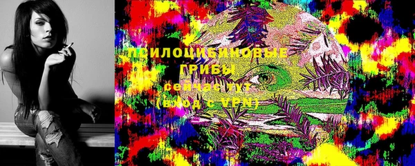 крисы Заволжск