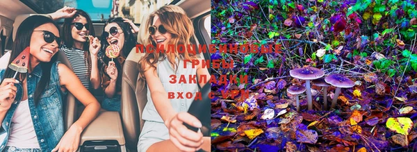 mix Заводоуковск